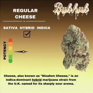 REGULAR CHEESE STICKER