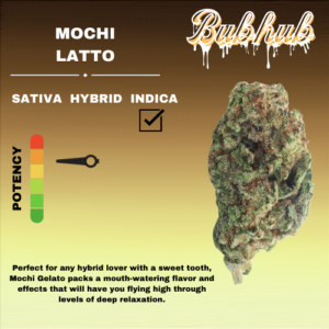 HQ MOCHI LATTO STICKER