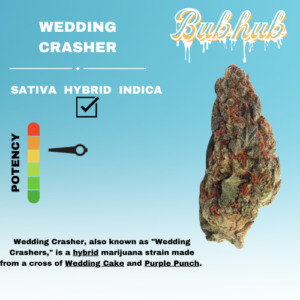HQ WEDDING CRASHER STICKER