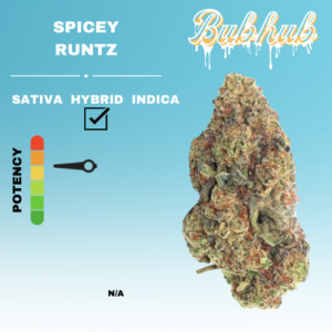 HQ SPICEY RUNTZ STICKER