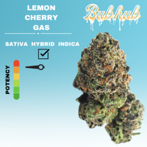 EX LEMON CHERRY GAS STICKER