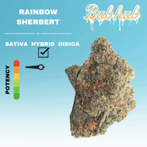 EX RAINBOW SHERBERT STICKER