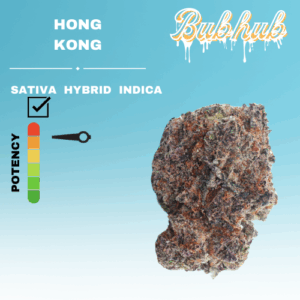 EX HONG KONG STICKER