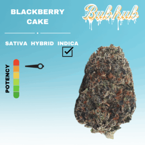 EX BLACKBERRY CAKE STICKER