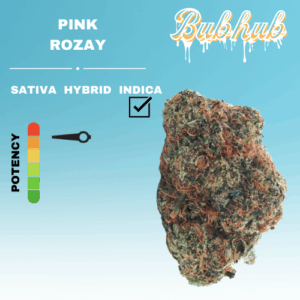 EX PINK ROZAY STICKER