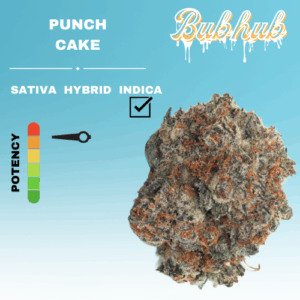 EX PUNCH CAKE STICKER