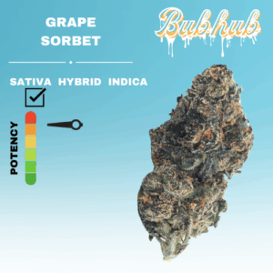 EX GRAPE SORBET STICKER
