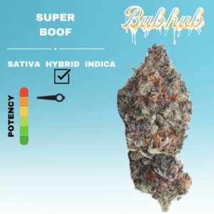EX SUPER BOOF STICKER