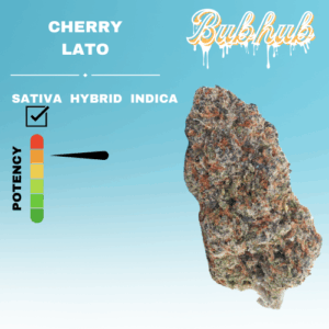 EX CHERRY-LATO STICKER