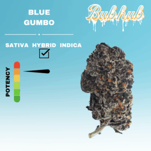EX BLUE GUMBO STICKER