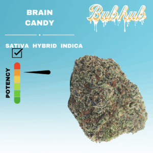 EX BRAIN CANDY STICKER