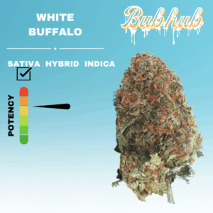 HQ WHITE BUFFALO STICKER