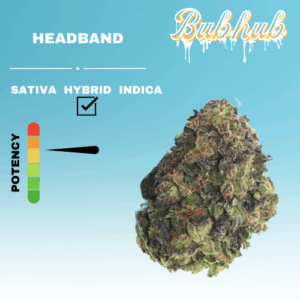 HQ HEADBAND STICKER
