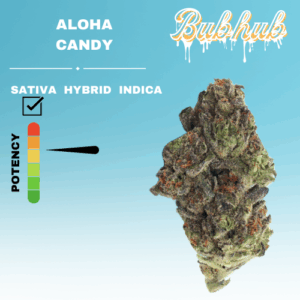 HQ ALOHA CANDY STICKER