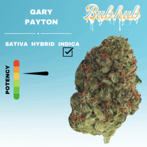 HQ GARY PAYTON STICKER