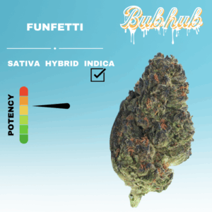 HQ FUNFETTI STICKER