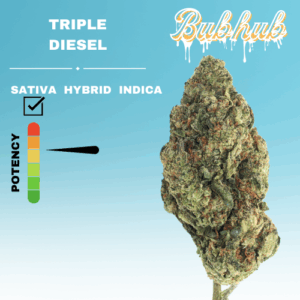 HQ TRIPLE DIESEL STICKER