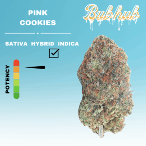 EX PINK COOKIES STICKER
