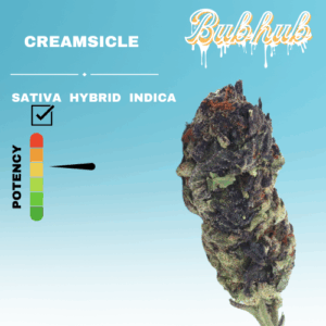 REGULAR CREAMSICLE STICKER