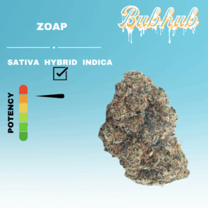 EX ZOAP STICKER