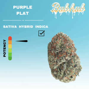 EX PURPLE PLAT STICKER