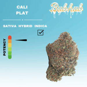 EX CALI PLAT STICKER