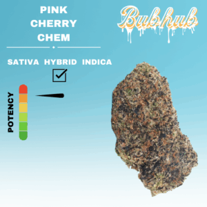 EX PINK CHERRY CHEM STICKER