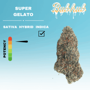 EX SUPER GELATO STICKER