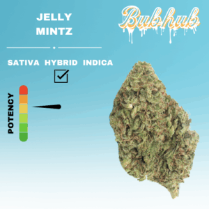REGULAR JELLY MINTZ STICKER