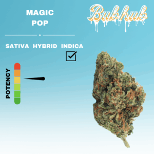 REGULAR MAGIC POP STICKER