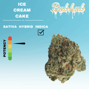 HQ ICE CREAM CAKE STICKER