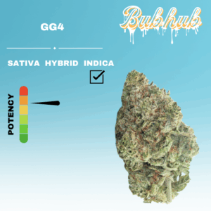 HQ GG4 STICKER
