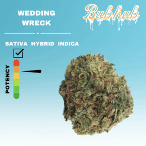 HQ WEDDING WRECK STICKER