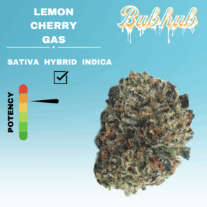 HQ LEMON CHERRY GAS STICKER