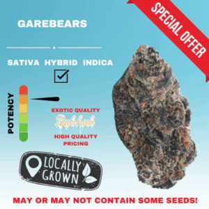 HQ GAREBEARS STICKER