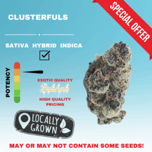 HQ CLUSTERFULS STICKER
