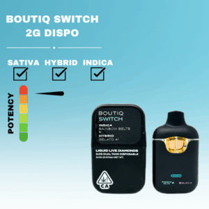 2G BOUTIQ SWITCH