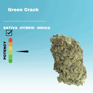 REGULAR GREEN CRACK STICKER