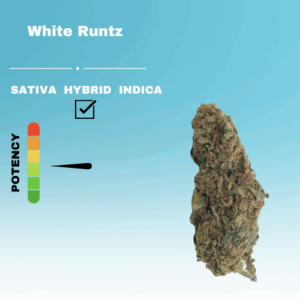 REGULAR WHITE RUNTZ STICKER