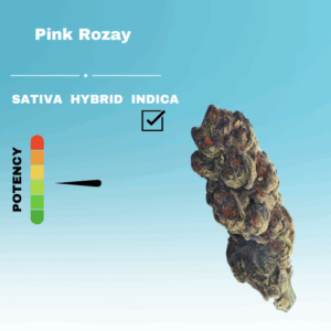 REGULAR PINK ROZAY STICKER