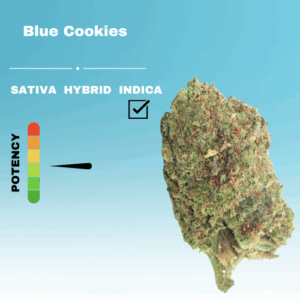 REGULAR BLUE COOKIES STICKER