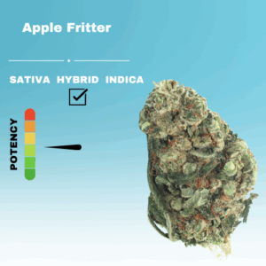 REGULAR APPLE FRITTTER STICKER