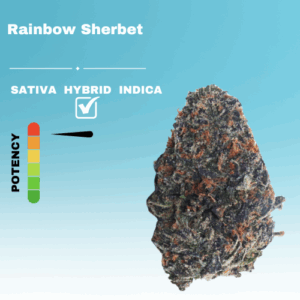 EX RAINBOW SHERBET STICKER