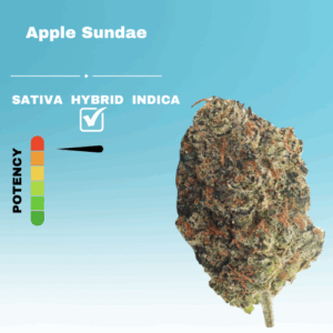 EX APPLE SUNDAE STICKER