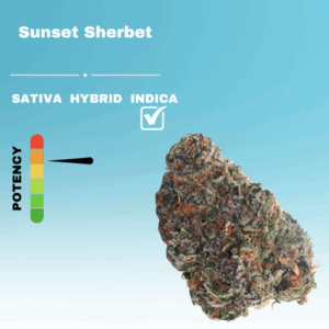 HQ SUNSET SHERBET STICKER