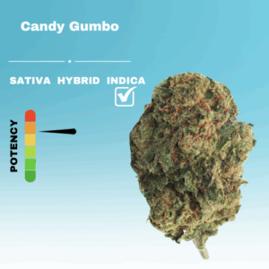 HQ CANDY GUMBO STICKER