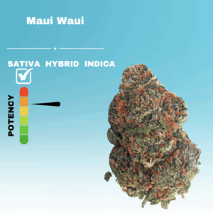 HQ MAUI WAUI STICKER