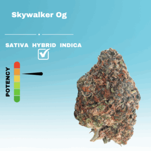 HQ SKYWALKER OG STICKER