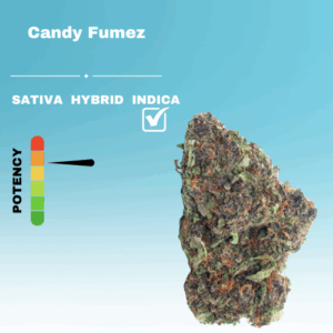 HQ CANDY FUMEZ STICKER