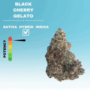 EX BLACK CHERRY GELATO STICKER
